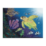 5039 Boxfish Reef