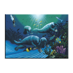 5026 Diving with Art McKee