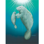 Eternal Serenity Limited Edition Giclee