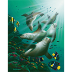 Galapagos Sea Lions Limited Edition Giclee