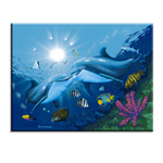 5003 Kissing Dolphins