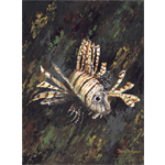 Lion Fish Limited Edition Giclee