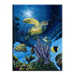 5005 Ocean Fest