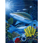 Shark Fest - Limited Edition Giclee